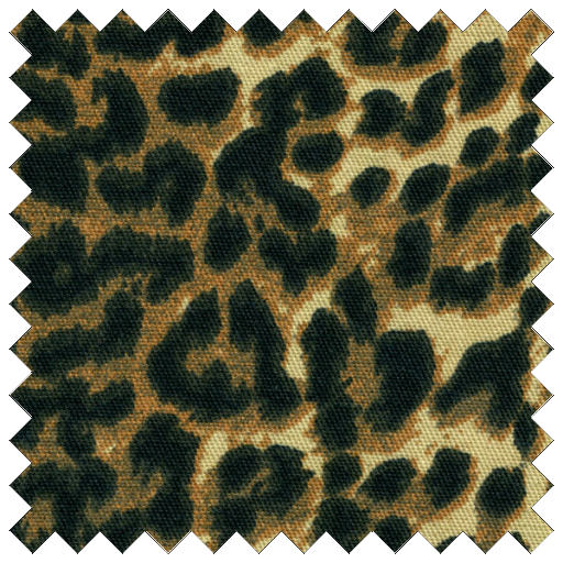 Leopard Print 