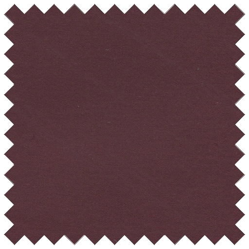 Burgundy Shelter Tent