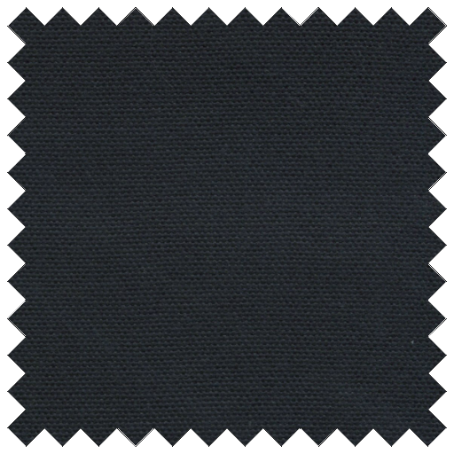 #10 Navy