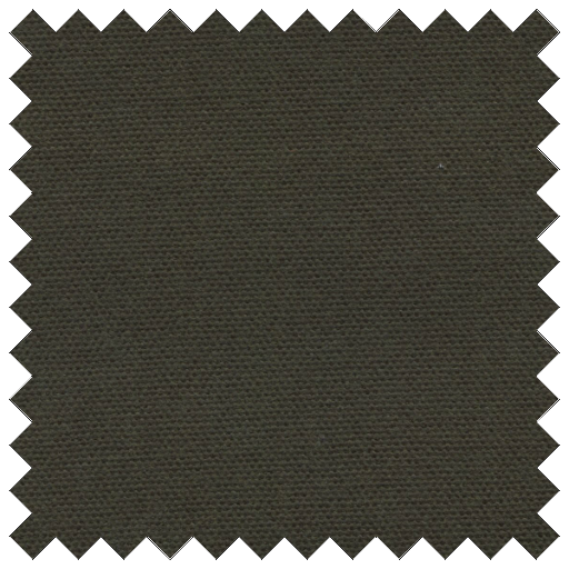 #10 Olive